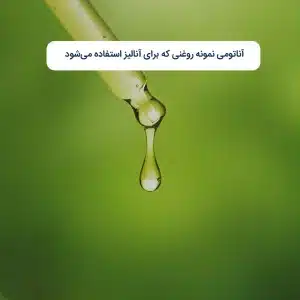 آناتومی-نمونه-روغنی-که-برای-آنالیز-استفاده-می‌شود