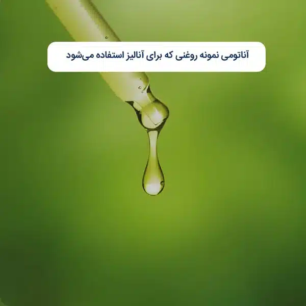 آناتومی-نمونه-روغنی-که-برای-آنالیز-استفاده-می‌شود