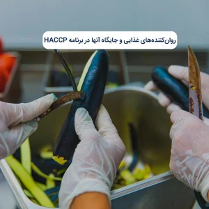 روانکنندههای غذایی و جایگاه آنها در برنامه HACCP