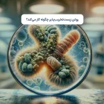 روغن زیست‌تخریب‌پذیر چگونه کار می‌کند؟